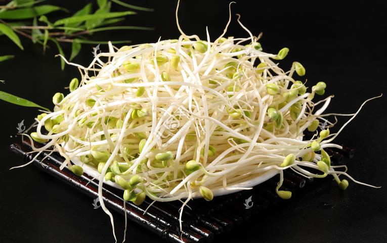 無(wú)公害綠色豆芽，怎么生產(chǎn)出來(lái)的？全套生產(chǎn)過(guò)程如此方便智能
